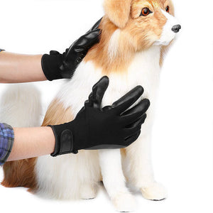 Transform Your Pet Grooming Routine with Our Innovative Grooming Gloves