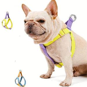 Rainbow Colorblock Pet Harness Set With Leash