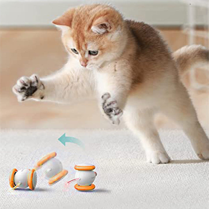 Discover the Joy of Playtime with Our Electric Intelligent Charging Interactive Pet Toy