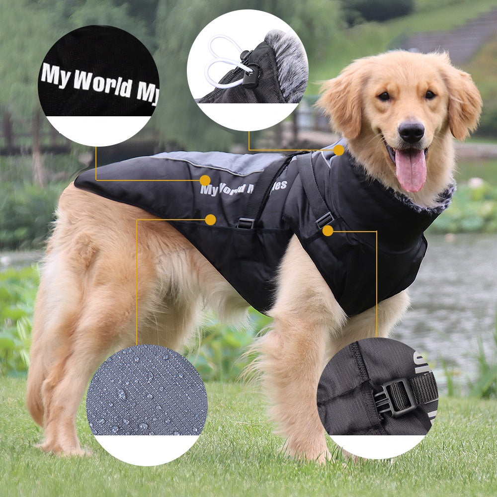 Keep Your Pets Warm and Safe This Winter