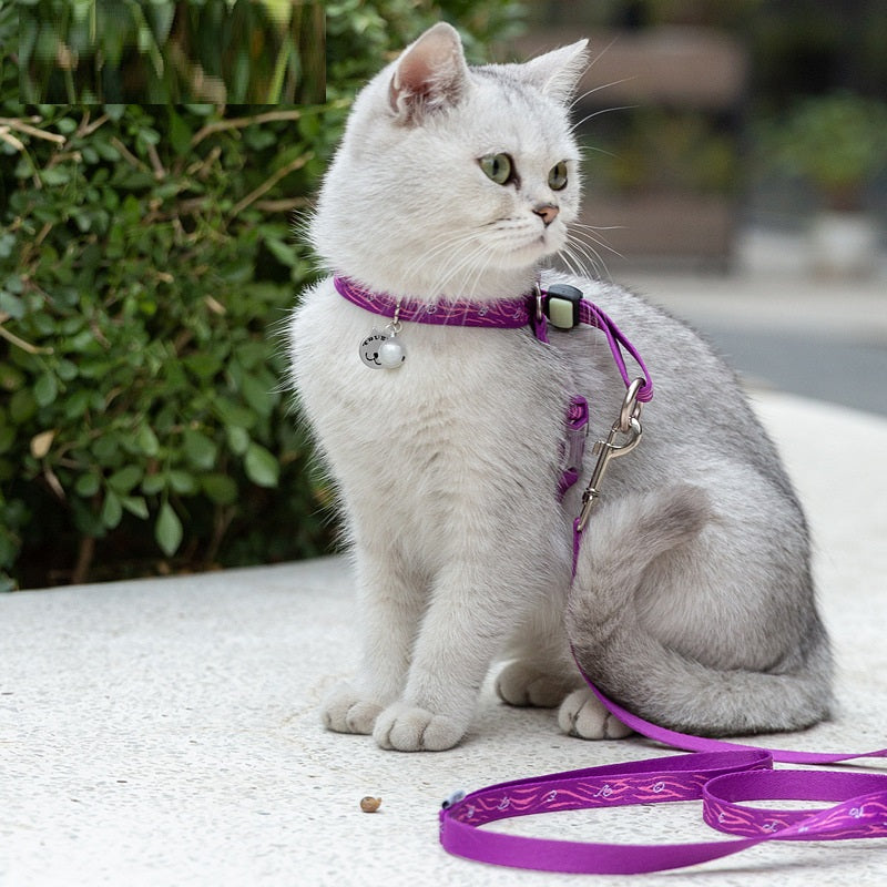 The Ultimate Comfort for Your Furry Friend: Bell Chest Strap Pet Vest Leash