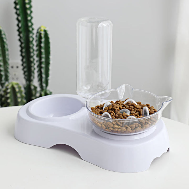The Ultimate Transparent Pet Feeding and Drinking Bowl