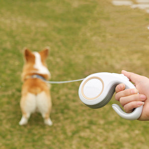 Discover the Convenience of Our Automatic Retractable Pet Leash