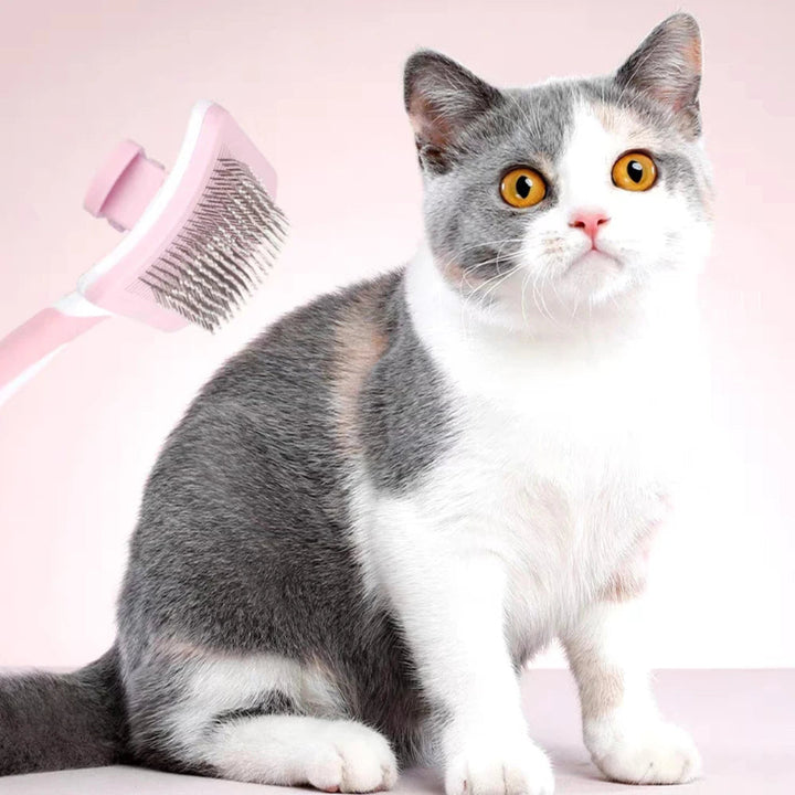 Self Cleaning Pet Slicker Brush Hair Remover