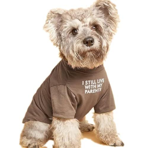 dfb840ebe8213ee673503fde020a44c3